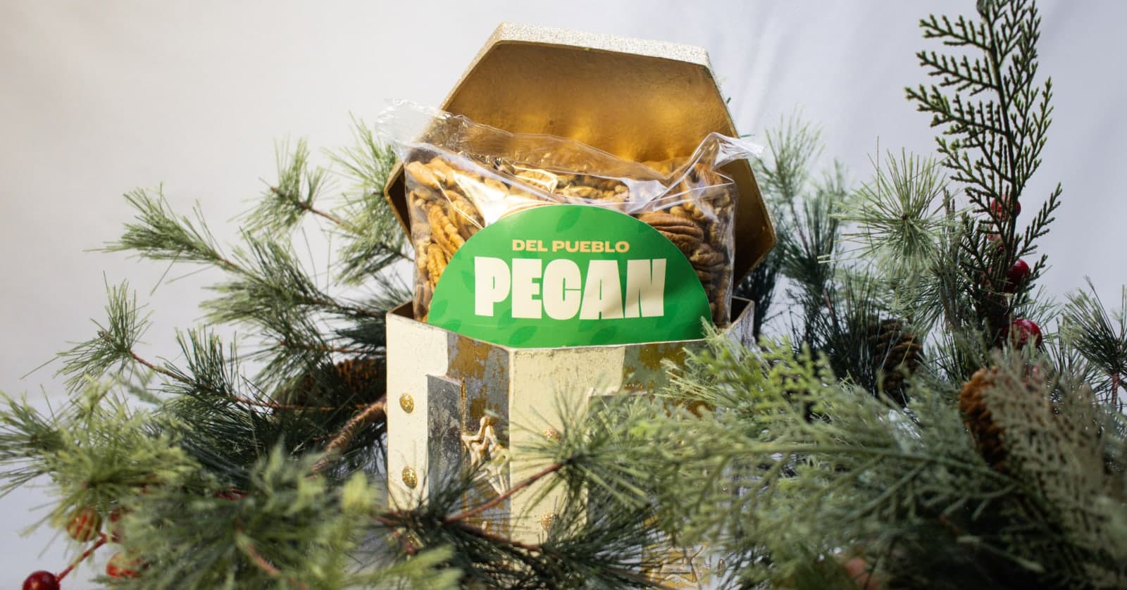 Nueces pecanas recién cosechadas en la huerta de Del Pueblo Pecan